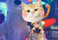 迎宾招聘文案模版素材（欢迎加入：打造卓越团队，诚邀您的加入）